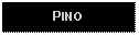 Text Box: PINO