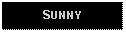 Text Box: SUNNY