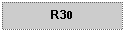 Text Box: R30