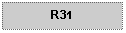 Text Box: R31