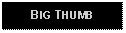 Text Box: BIG THUMB