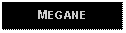 Text Box: MEGANE