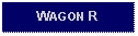 Text Box: WAGON R