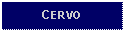 Text Box: CERVO