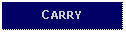 Text Box: CARRY