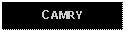 Text Box: CAMRY