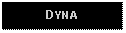 Text Box: DYNA