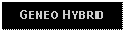 Text Box: GENEO HYBRID