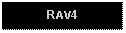 Text Box: RAV4