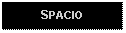 Text Box: SPACIO