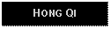 Text Box: HONG QI