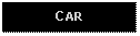 Text Box: CAR