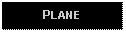 Text Box: PLANE