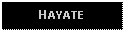 Text Box: HAYATE