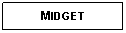 Text Box: MIDGET