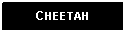 Text Box: CHEETAH