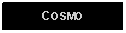 Text Box: COSMO