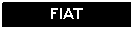 Text Box: FIAT