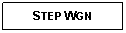 Text Box: STEP WGN