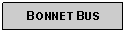 Text Box: BONNET BUS