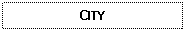 Text Box: CITY