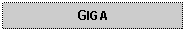 Text Box: GIGA