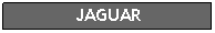 Text Box: JAGUAR