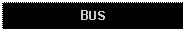 Text Box: BUS