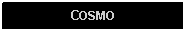 Text Box: COSMO