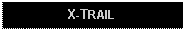 Text Box: X-TRAIL