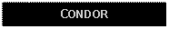 Text Box: CONDOR