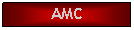 Text Box: AMC