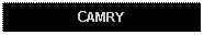 Text Box: CAMRY