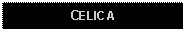 Text Box: CELICA