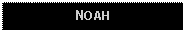 Text Box: NOAH