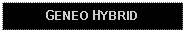 Text Box: GENEO HYBRID