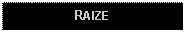 Text Box: RAIZE