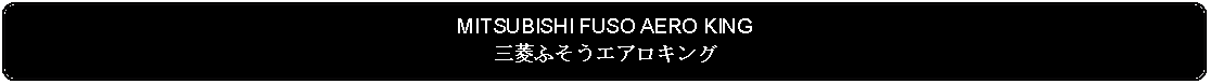 Flowchart: Alternate Process: MITSUBISHI FUSO AERO KING三菱ふそうエアロキング