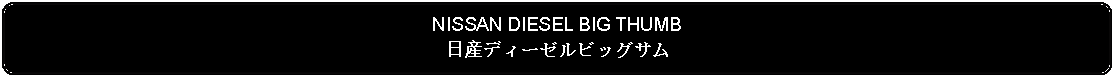 Flowchart: Alternate Process: NISSAN DIESEL BIG THUMB日産ディーゼルビッグサム