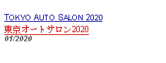 Text Box: TOKYO AUTO SALON 2020東京オートサロン202001/2020