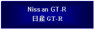 Text Box: Nissan GT-R日産 GT-R