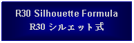 Text Box: R30 Silhouette FormulaR30 シルエット式