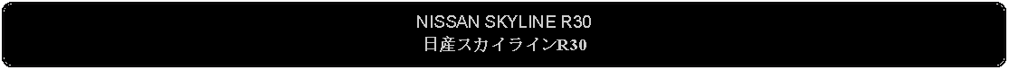 Flowchart: Alternate Process: NISSAN SKYLINE R30日産スカイラインR30