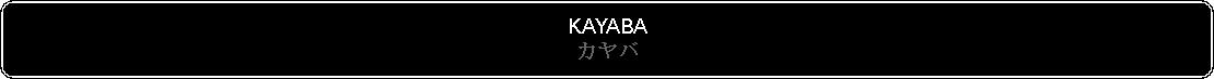 Flowchart: Alternate Process: KAYABAカヤバ