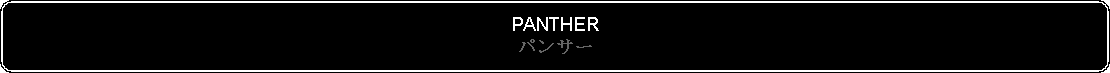 Flowchart: Alternate Process: PANTHERパンサー