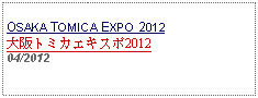 Text Box: OSAKA TOMICA EXPO 2012大阪トミカエキスポ201204/2012