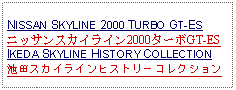 Text Box: NISSAN SKYLINE 2000 TURBO GT-ESニッサンスカイライン2000ターボGT-ES IKEDA SKYLINE HISTORY COLLECTION池田スカイラインヒストリーコレクション