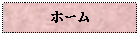 Text Box: ホーム
