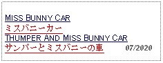 Text Box:                                              MISS BUNNY CARミスバニーカーTHUMPER AND MISS BUNNY CARサンパーとミスバニーの車     07/2020