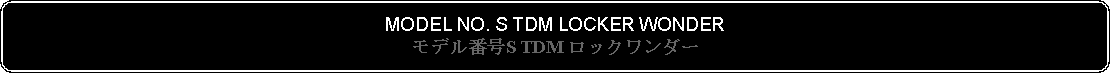 Flowchart: Alternate Process: MODEL NO. S TDM LOCKER WONDERモデル番号S TDM ロックワンダー